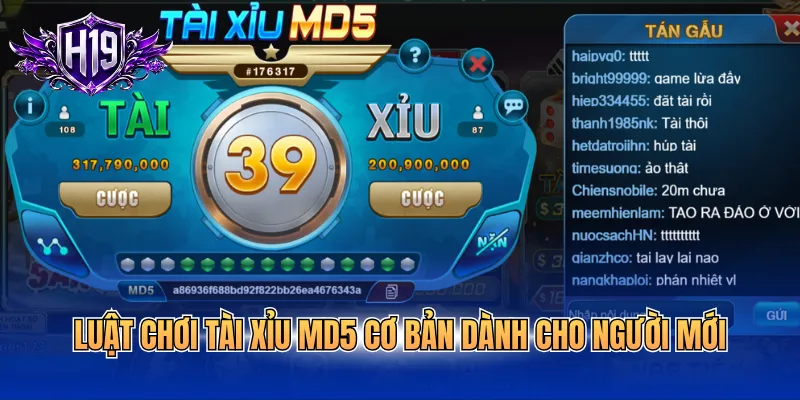 Luật chơi tài xỉu MD5 cơ bản dành cho người mới
